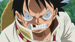 ワンピースアニメ WCI編 808話 ルフィ かっこいい Monkey D. Luffy  | ONE PIECE Episode 808