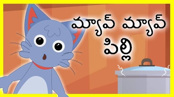 మ్యావ్ మ్యావ్ పిల్లి