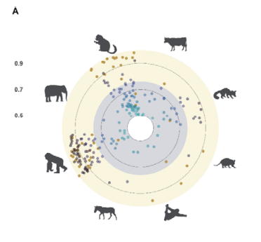 Evidence of human-to-dog transmission of monkeypox virus - The Lancet