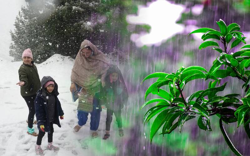 Rain, snowfall, how long will this series continue? Meteorological Department has issued an alert