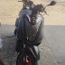 Motocicleta roubada em Tabatinga (AM)