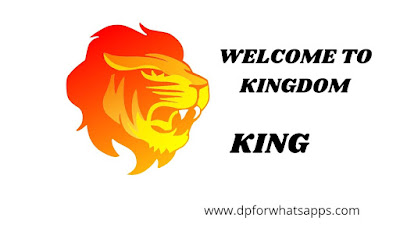 King DP | King Image | King Photo | King Wallpaper