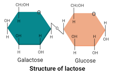 Structure of lactose