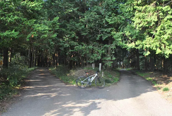 茨城町木部わかれ道