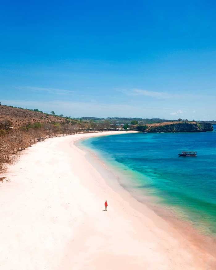Objek Wisata Pantai Pink Lombok Timur