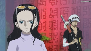 ワンピースアニメ ゾウ編 771話 ロビン トラファルガー・ロー | ONE PIECE Episode 771