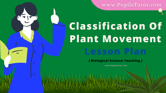 Classification Of Plant Movement Lesson Plan For B.Ed, DE.L.ED, BTC, M.Ed 1st 2nd Year And Class 10th to 12th Life Science Teacher Free Download PDF On Discussion Teaching Skill In English Medium. - www.pupilstutor.com