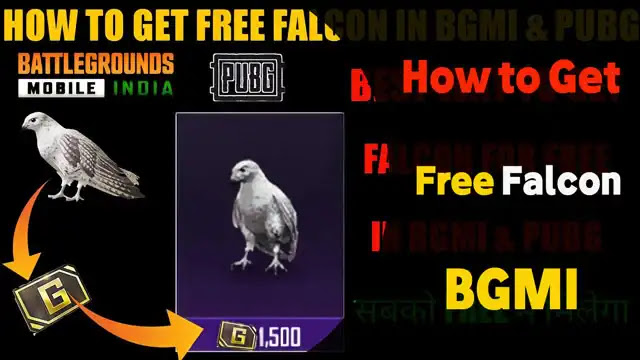 how to get falcon in BGMI for free 2021, how to get free falcon in BGMI season 19, how to get free companion in BGMI 2021