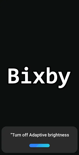 Bixby Picture