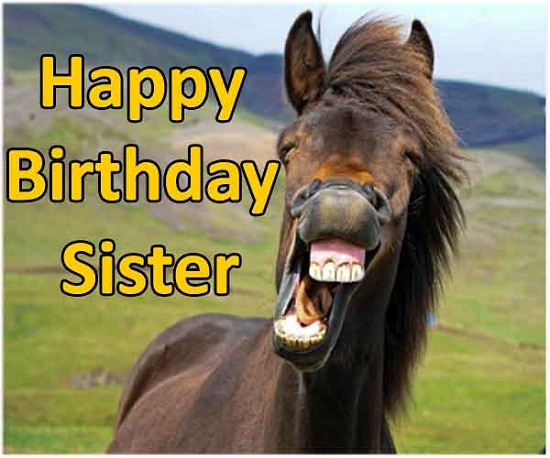 funny birthday wishes for sister