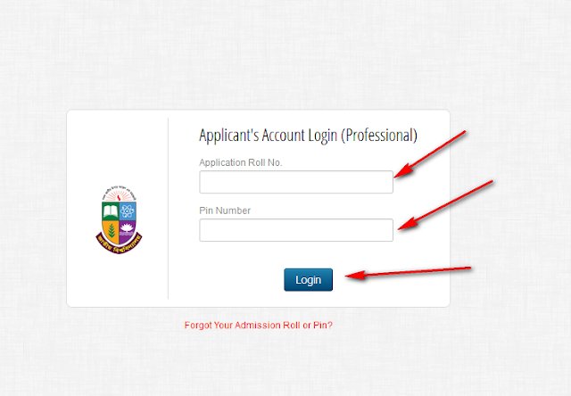 Applicant's Account Login (Professional)