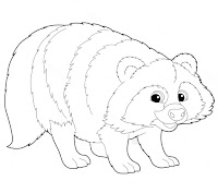 Raccoon coloring sheet