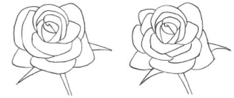 Aprende Como Dibujar una Rosa Paso a Paso [ Guia ]