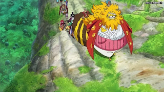 ワンピースアニメ ゾウ編 768話 ネコマムシ くじらの樹 | ONE PIECE Episode 768