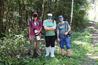 ICMBio - Parque Nacional de Itatiaia - LANÇAMENTO DE FOLDER DE BORBOLETAS –  GRUPO GOBAN