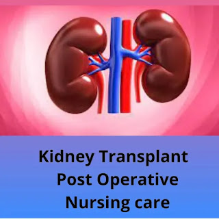 Kidney-transplant-post-op-nursing-care