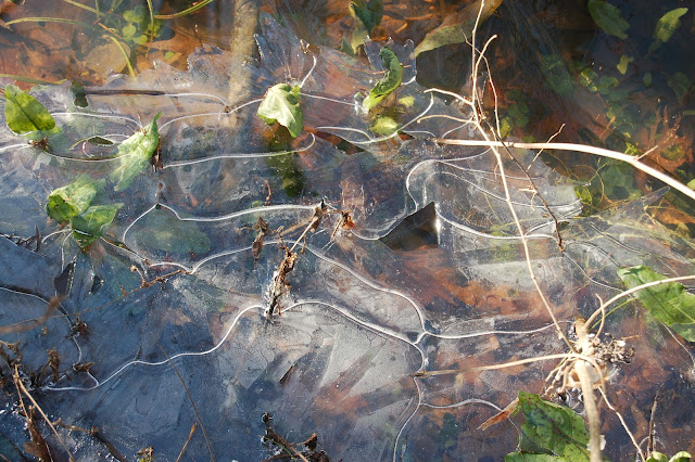 frozen creek, cracks in the ice