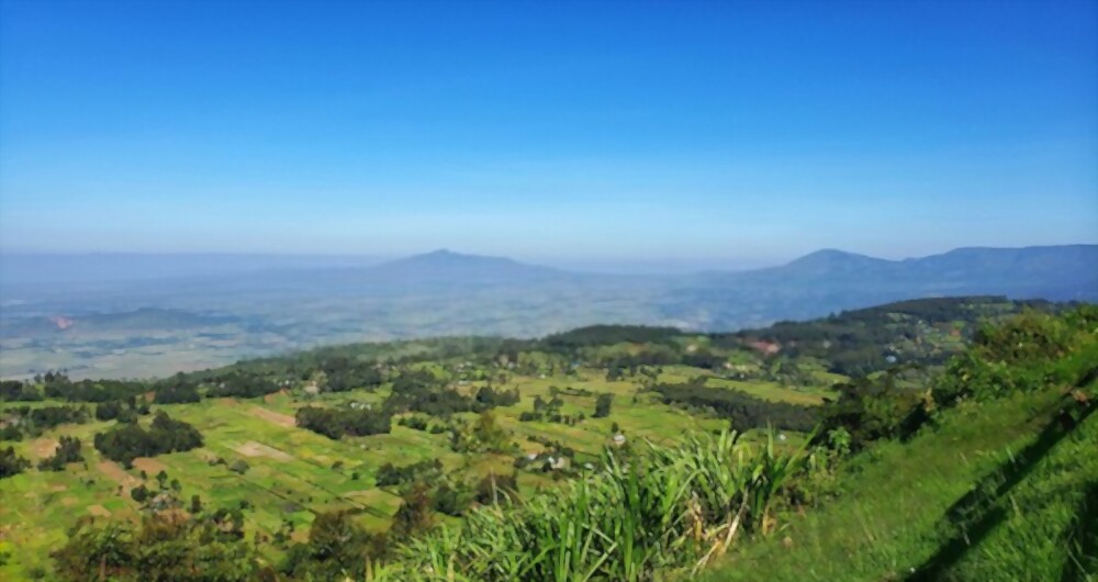 Great Escarpment