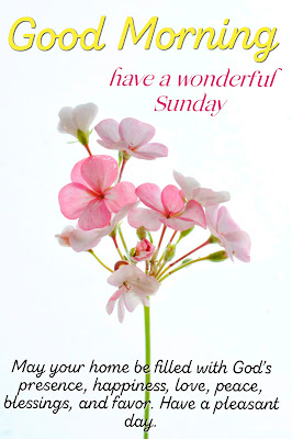Pink Crossandra flowers bunch,Good Morning Sunday.