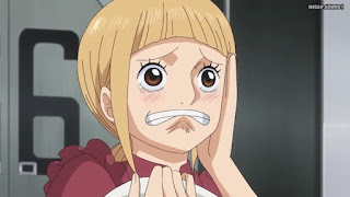 ワンピースアニメ WCI編 801話 | ONE PIECE Episode 801