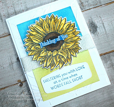 celebrate sunflowers for ukraine and pp 3