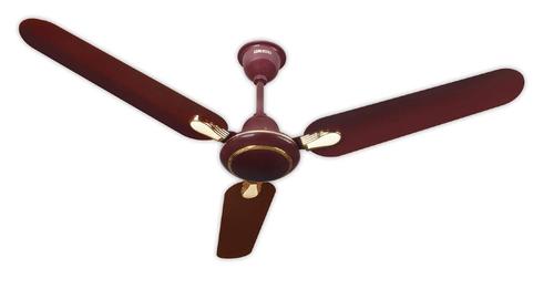ये हैं हाई स्पीड वाले Ceiling Fan, कमरे को तुरंत करेगा ठंडा, कीमत 1500 रुपये से कम