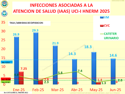Incidencias IAAS UCI-I UCI 2C  HNERM enero-junio  2025