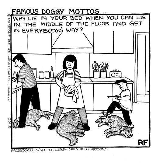 © 2022, Rupert Fawcett, Off The Leash Used by Permission
