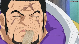 ワンピースアニメ ドレスローザ編 736話 海軍大将 藤虎 イッショウ Fujitora | ONE PIECE Episode 736