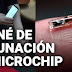 Crean un microchip subcutáneo que sirve como ‘pasaporte covid’