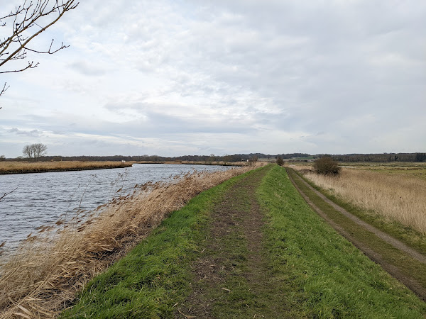 The River Yare surface level above the surrounding marshes