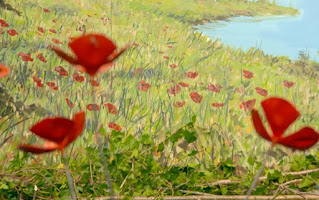 poppies