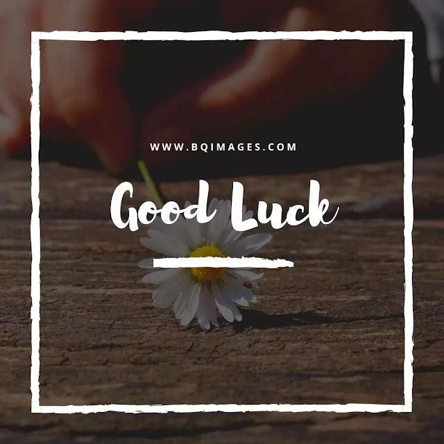 Good Luck Images Free Download