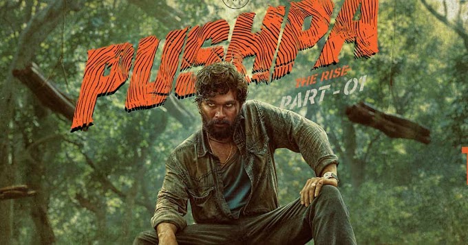 Pushpa: The Rise Release Date, Cast, Trailer, and Ott Platform You Need To Know Here