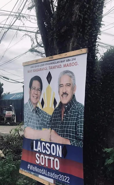 Lacson Sotto Campaign Poster posted nailed on a tree