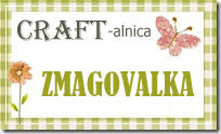 CRAFT-ALNICA - ZMAGOVALKA