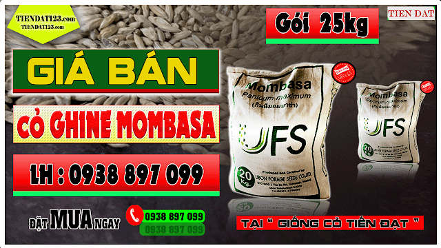 Giá cỏ ghine mombasa gói trọng lượng 25kg