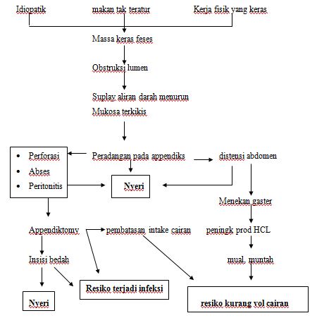 PATHWAYS APPENDISITIS