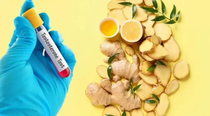 How to take ginger for testosterone