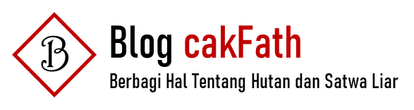 blog cakFath