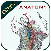 Gray's Anatomy Atlas