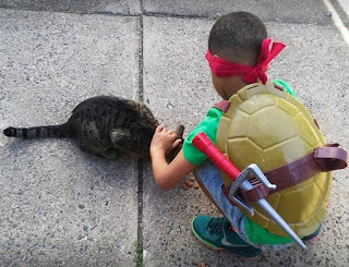 La historia del niño de 5 años que se disfrazaba de superhéroe para ayudar a los gatos sin hogar