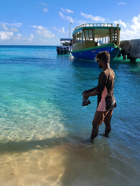 o que fazer nas Maldivas passeios de barco