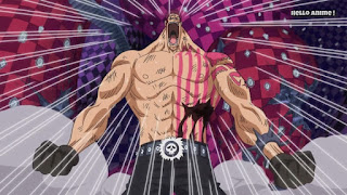 ワンピースアニメ WCI編 869話 カタクリ 見聞色の覇気 未来 Katakuri observation haki | ONE PIECE ホールケーキアイランド編