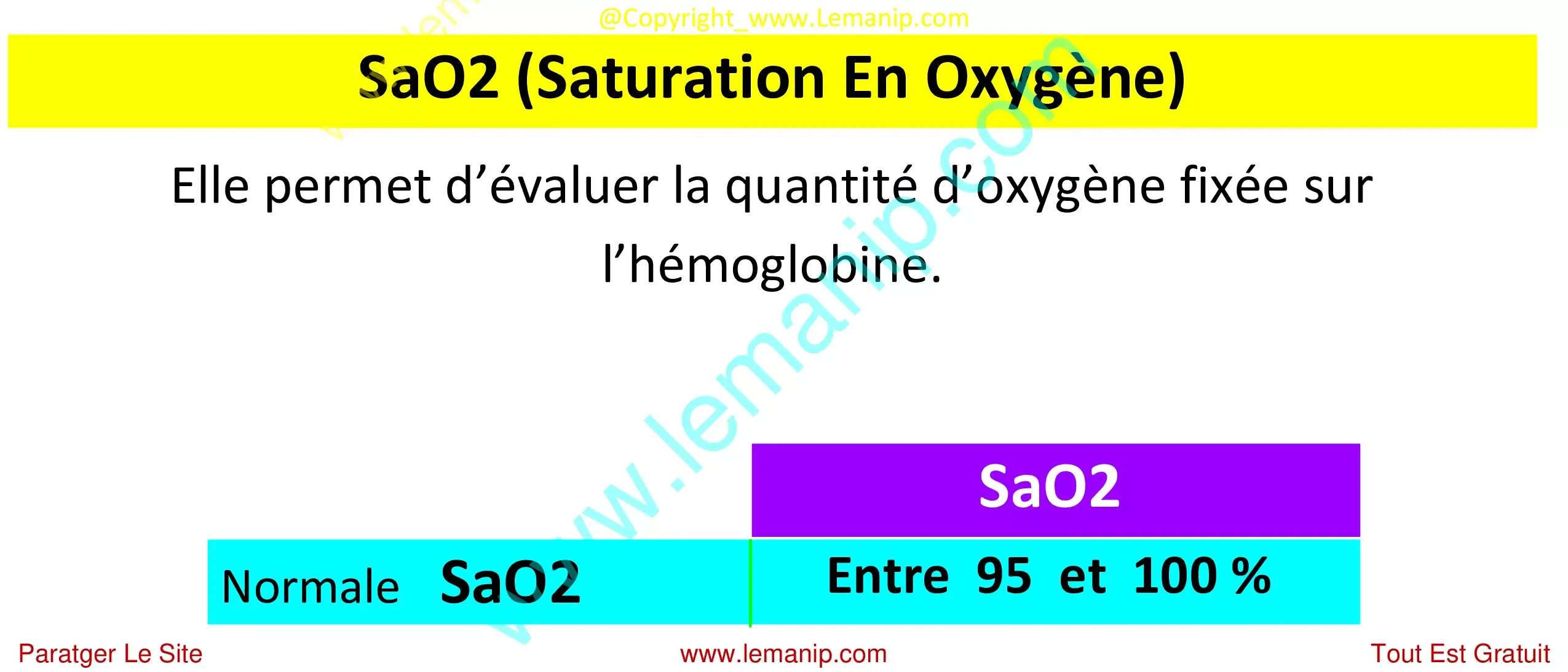 SaO2 Saturation En Oxygène