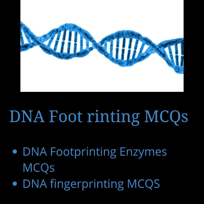 DNA Footprinting MCQs most probably ask in CSIR NET exam.