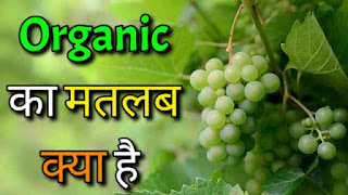 Organic Meaning In Hindi