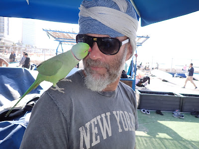 Roni and Jack the parrot in Lev Hayam Gordon Club, Tel Aviv 2022