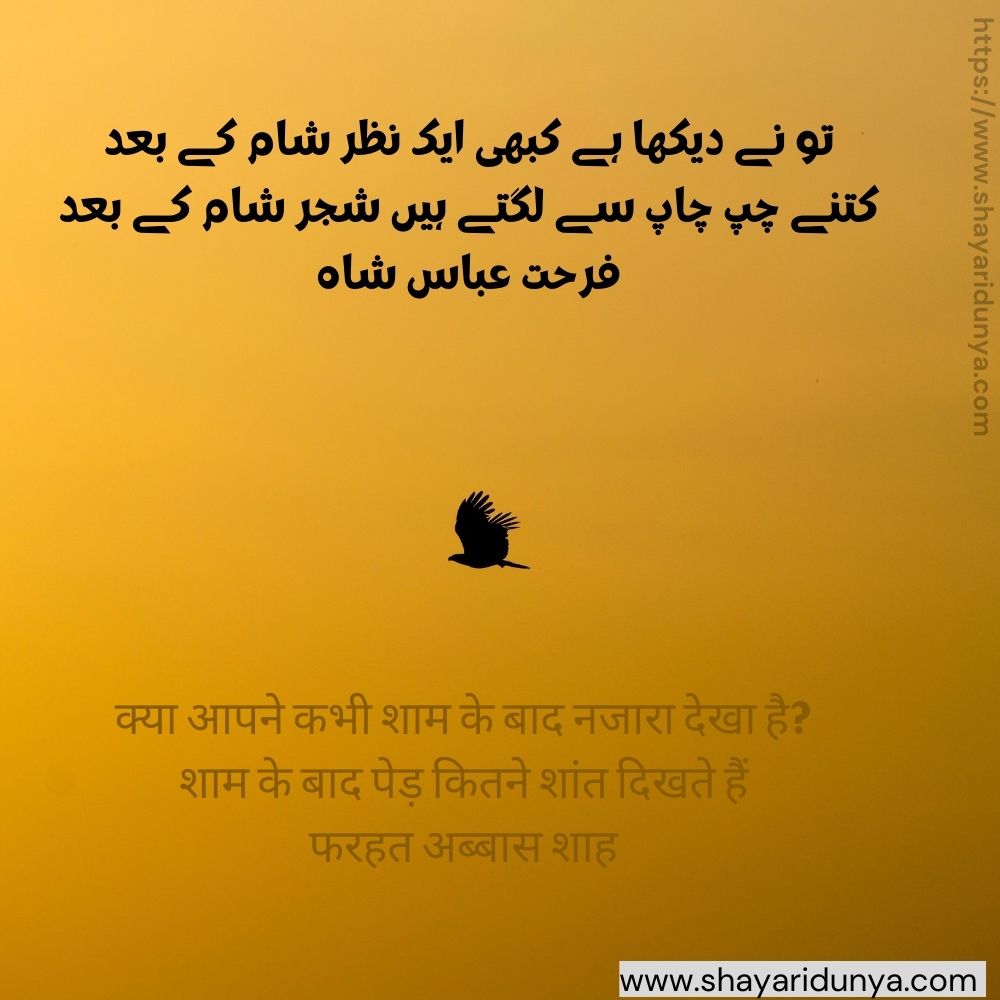 Poetry on Sham | sham poetry | Shaam Shayari | Udas sham | Poetry on evening