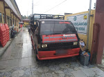 Aksi Pencurian Kerbau Kembali Terjadi di Kabupaten Samosir